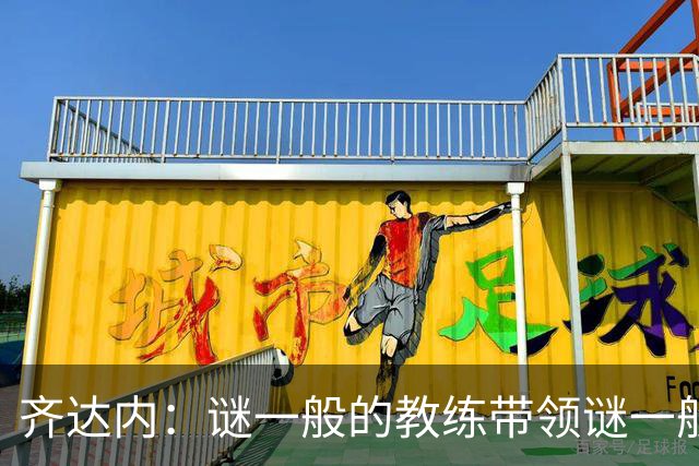 齐达内：谜一般的教练带领谜一般的法国队